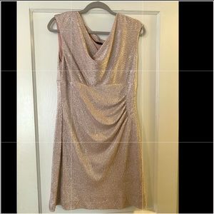 Shimmery Blush Dress